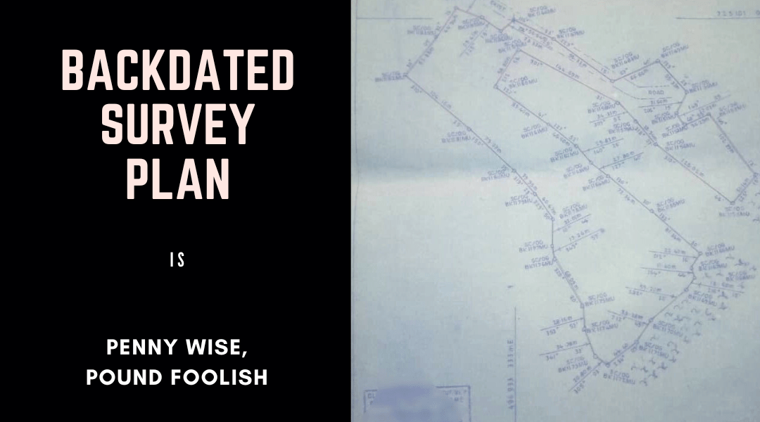 Sample Survey Plan of a wide expanse of land